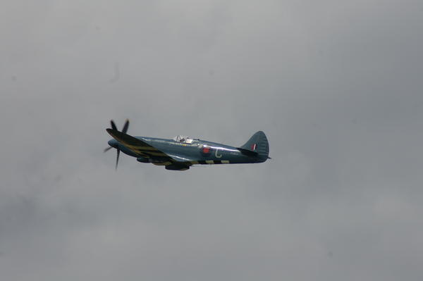 Spitfire